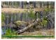 Thumbnail-12