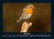 Thumbnail-9
