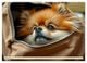 Thumbnail-13