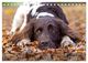Thumbnail-12