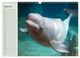 Thumbnail-13
