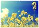 Thumbnail-10