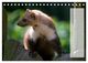 Thumbnail-9