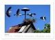 Thumbnail-8