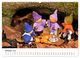 Thumbnail-11