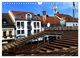 Thumbnail-12