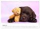 Thumbnail-10