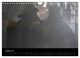 Thumbnail-10