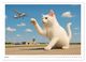 Thumbnail-8