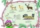 Thumbnail-2