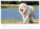 Thumbnail-12