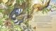 Thumbnail-2