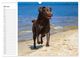Thumbnail-9