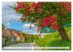 Thumbnail-7