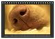Thumbnail-13