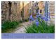 Thumbnail-8