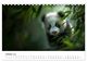 Thumbnail-12