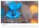 Thumbnail-11