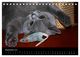 Thumbnail-11