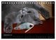 Thumbnail-11