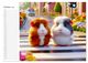 Thumbnail-12