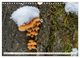 Thumbnail-13