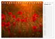 Thumbnail-12