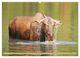 Thumbnail-10