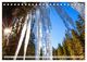 Thumbnail-8