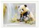 Thumbnail-8