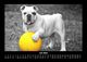 Thumbnail-11