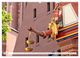 Thumbnail-12