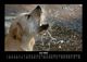 Thumbnail-10
