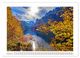 Thumbnail-12