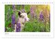 Thumbnail-9