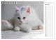Thumbnail-11