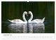 Thumbnail-13