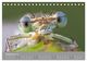 Thumbnail-12
