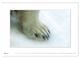 Thumbnail-10