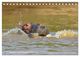Thumbnail-9