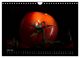 Thumbnail-8