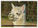 Thumbnail-12