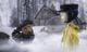 Thumbnail-11