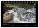 Thumbnail-11