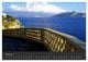 Thumbnail-9