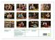Thumbnail-9