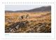 Thumbnail-11