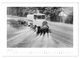 Thumbnail-9