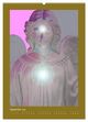 Thumbnail-14