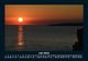 Thumbnail-11